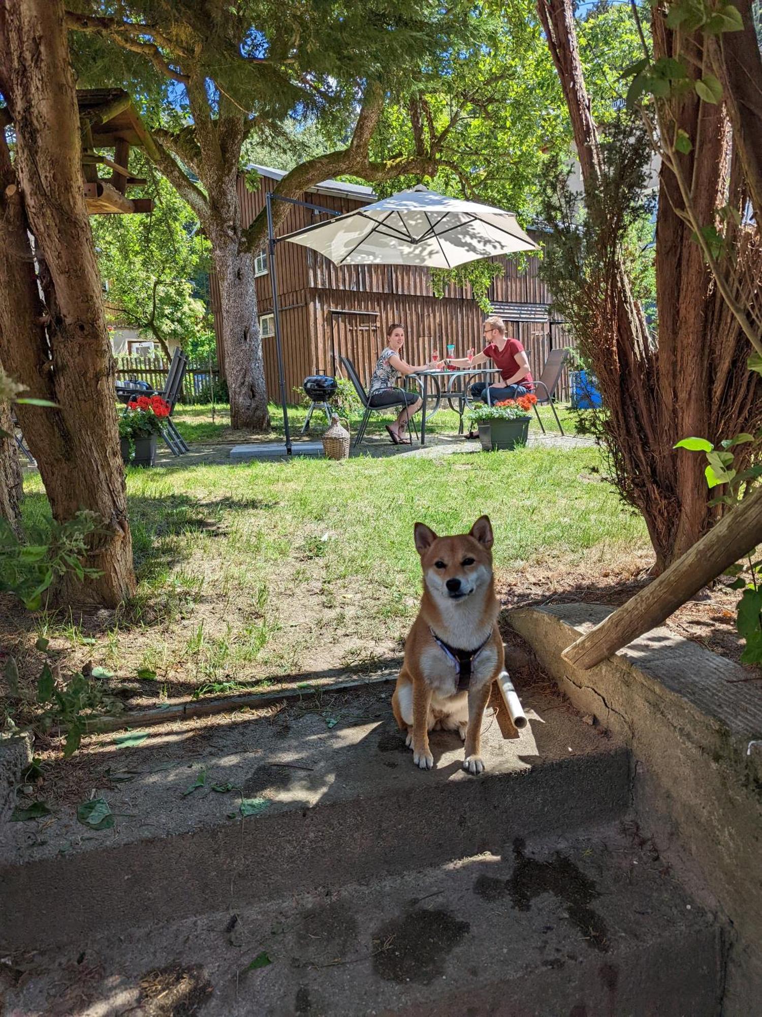 H2 - Urlaubsmagie - Garten, Pool, Terrasse, Grill Appartement Sebnitz